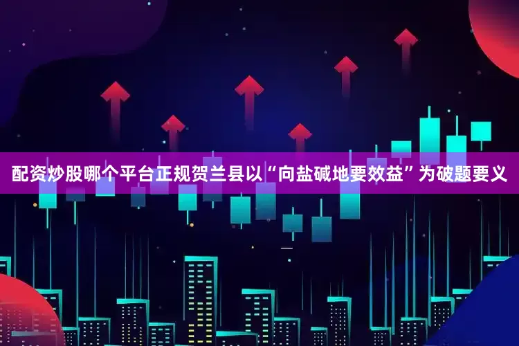 配资炒股哪个平台正规贺兰县以“向盐碱地要效益”为破题要义