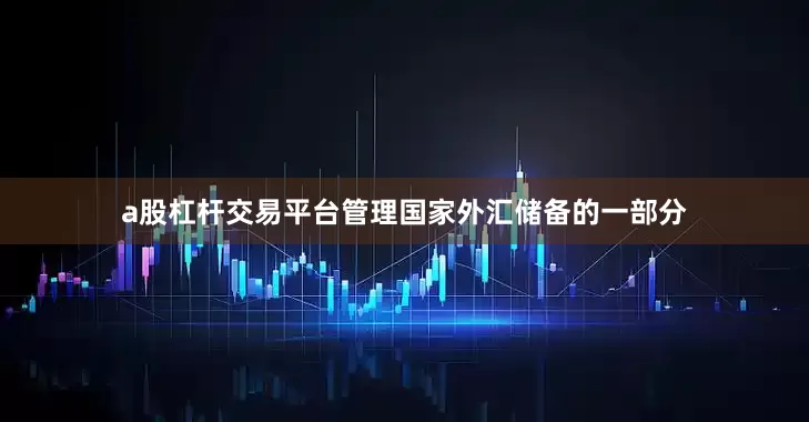 a股杠杆交易平台管理国家外汇储备的一部分