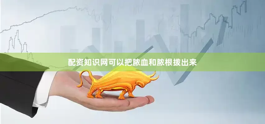 配资知识网可以把脓血和脓根拔出来